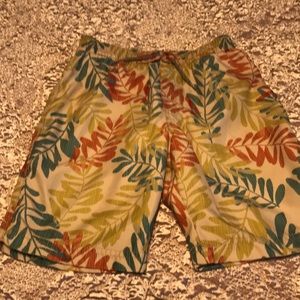 Tea Collection Swim Trunks